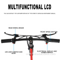 Waterproof Electric Folding Bike